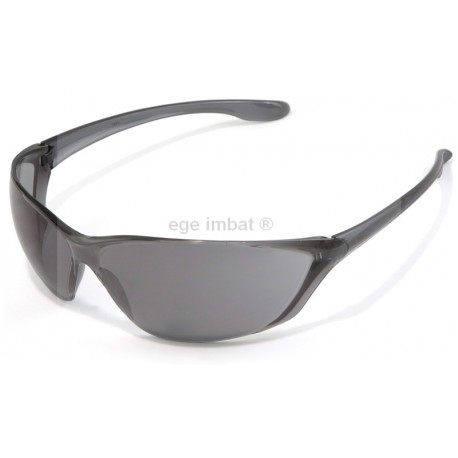 BBU 204 Gray Lens Safety Glasses Anti-Fog