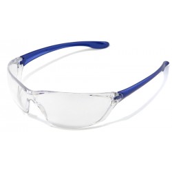 BBU 204 Clear Lens Safety Glasses Anti-Fog