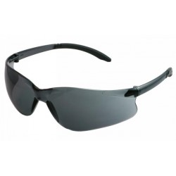BBU 2200 Gray Lens Safety Glasses Anti_fog